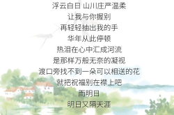 现代诗词,现代诗词的魅力与传承