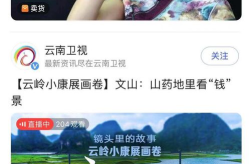 云南卫视直播,探寻多彩云南，感受民族风情
