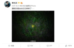 沾花娱乐,揭秘娱乐圈幕后故事与明星幕后生活