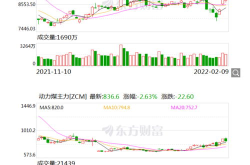 股票600348,深度解析这只潜力股的投资价值