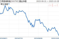 000793基金,深度解析其投资策略与市场表现