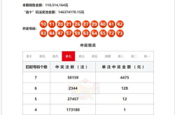 体彩开奖,幸运数字引领财富新篇章
